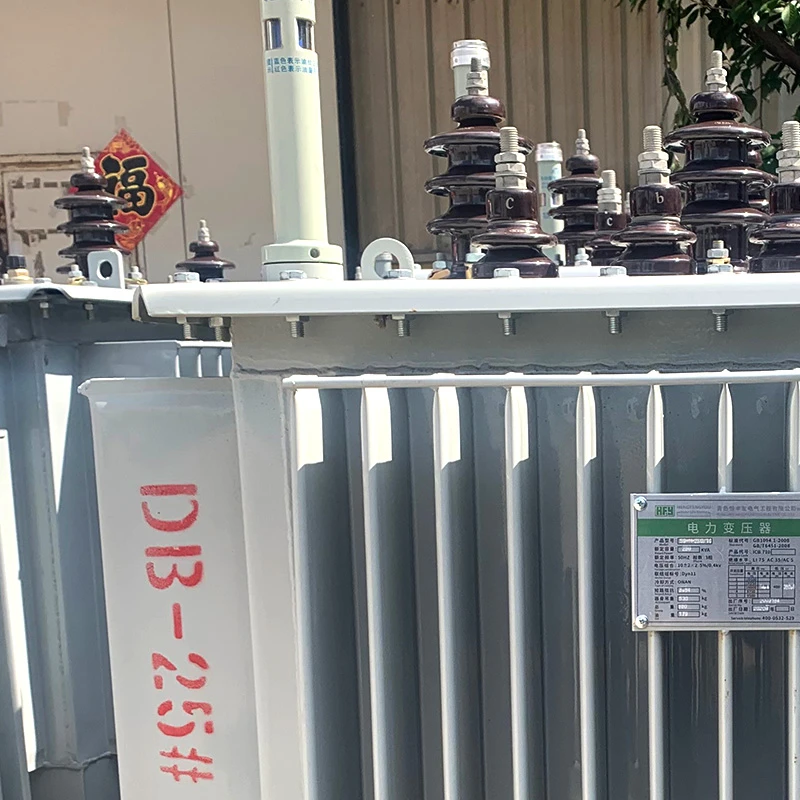 hengfengyou electric power transformer